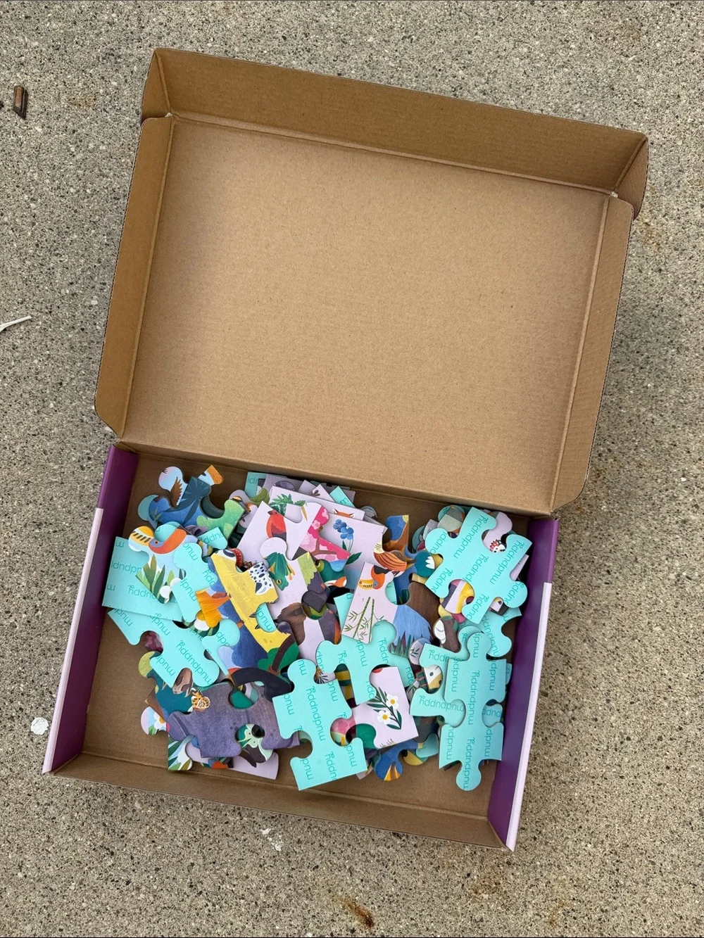 Mudpuppy In The Mountains Search & Find Puzzle - Purple